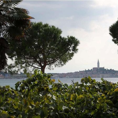Linea Mare Apartment Rovinj Exterior photo