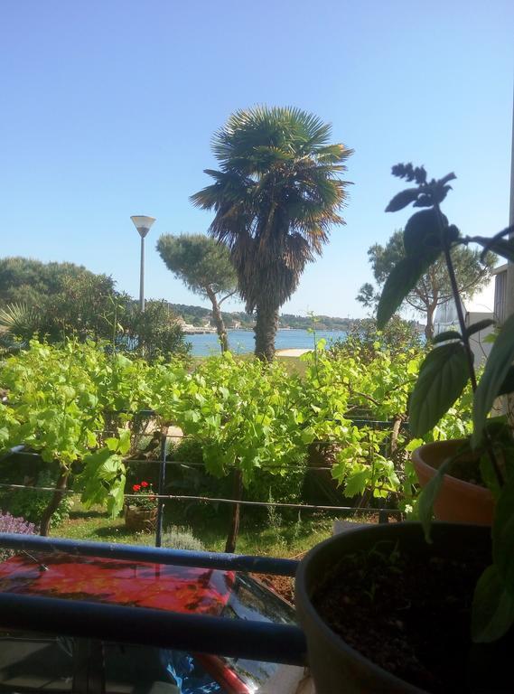 Linea Mare Apartment Rovinj Exterior photo