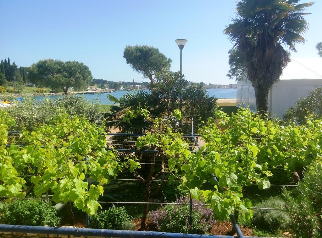Linea Mare Apartment Rovinj Exterior photo